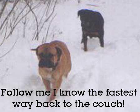 I know the fastest way back to the couch